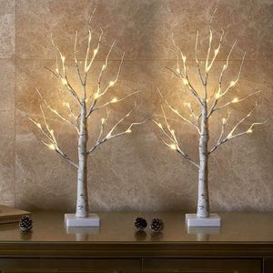 Birch Tree Light